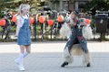 Schoolplein Festival A094